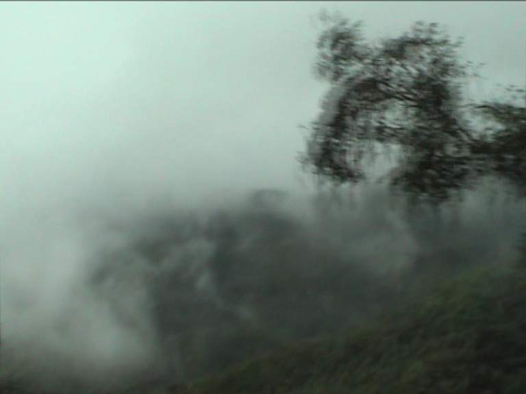 DoiTung 003.jpg 20.7K